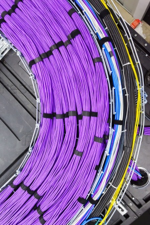 Large group of lilac utp Internet cables in Data Center
