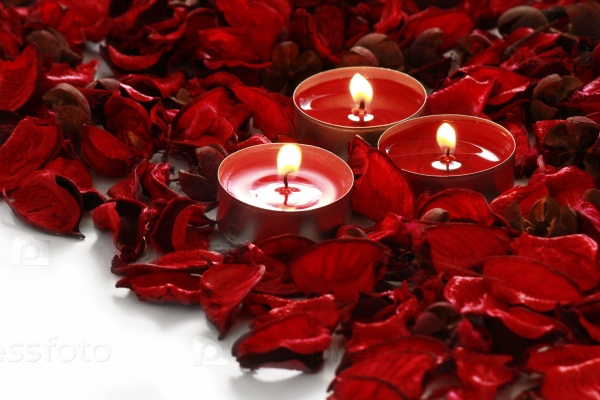 Red roses and candles on whiter background with space for your text, stock photo