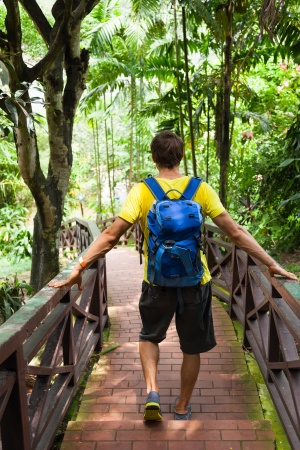 Traveler rear view backpack walk jungle green forest park, hiking tourist journey adventure