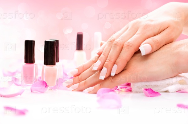 Manicure and Hands Spa. Beautiful Woman hands closeup. Manicured nails and Soft skin. Beauty hands with rose flower petals. Beauty treatment. Beautiful woman\'s nails with beautiful french manicure