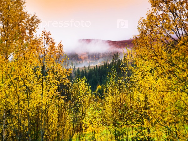 Horizontal vivid Norway autumn landscape background backdrop