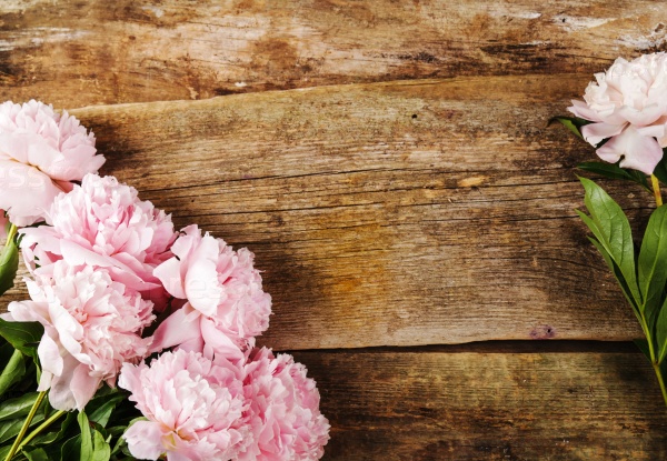 Flowers. Beautiful peony on the table, stock photo
