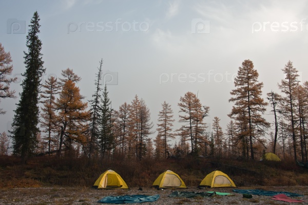 Три желтых палатки на берегу сибирской реки