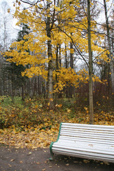 - - sekretarev