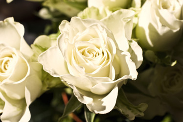 Similar image 38751