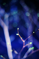 Similar image 46556