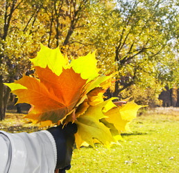 Similar image 46943