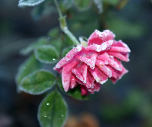 Similar image 65948