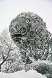 Similar image 70652