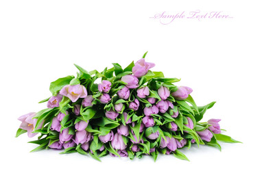 Similar image 72059