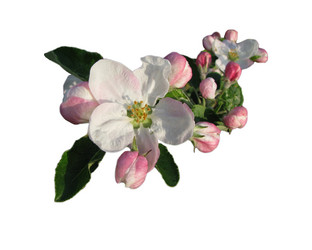 Similar image 82291