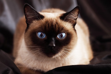 Similar image 100018