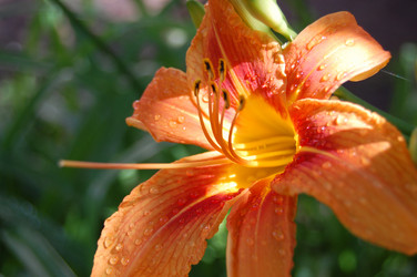 Similar image 100022