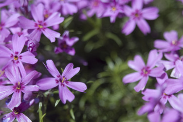 Similar image 100039