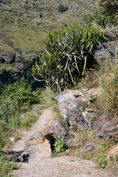 Similar image 100058