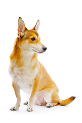 Similar image 100078