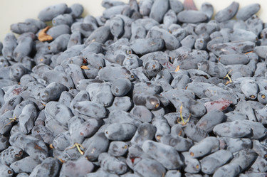 Similar image 100079