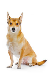 Similar image 100082