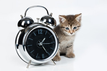 Similar image 100109