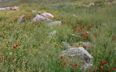 Similar image 100111