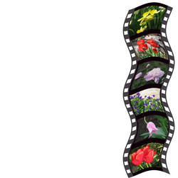 Similar image 100120