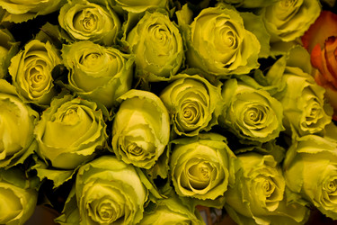 Similar image 100137