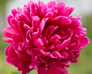 Similar image 100142