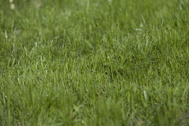 Similar image 100147