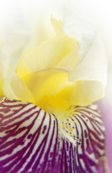 Similar image 100226