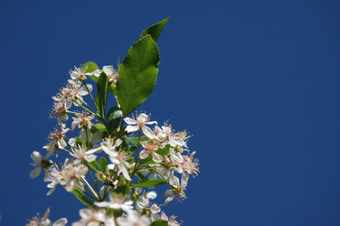 Similar image 100278