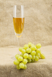 Similar image 100342