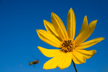 Similar image 100359