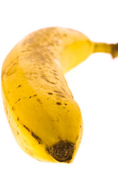 Similar image 100362