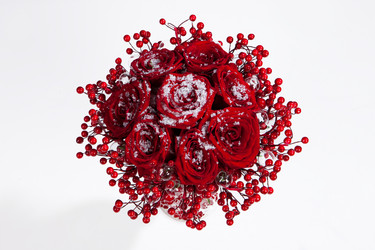 Similar image 100368