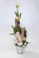 Similar image 100389