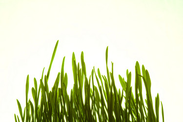 Similar image 100393