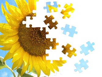 Similar image 100411