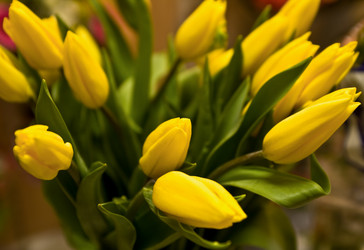 Similar image 100416