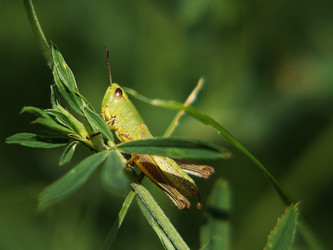 Similar image 100422