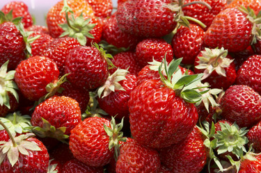 Similar image 100423