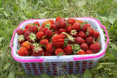 Similar image 100424