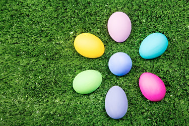 Similar image 100469