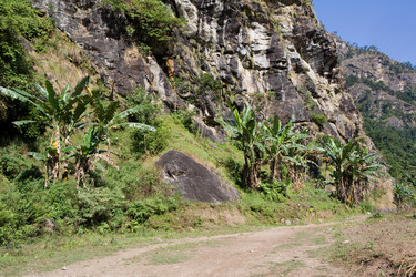 Similar image 100495