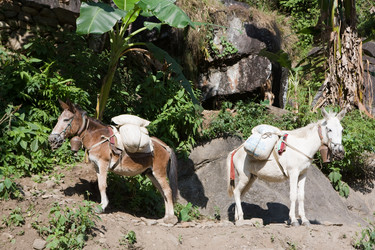 Similar image 100496