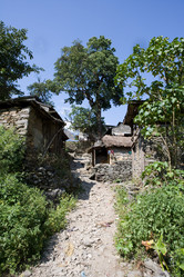 Similar image 100538