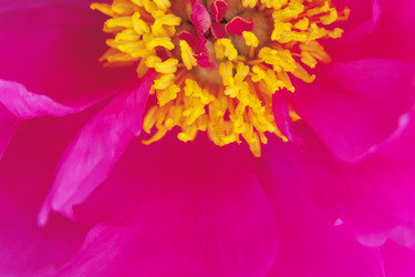 Similar image 100576