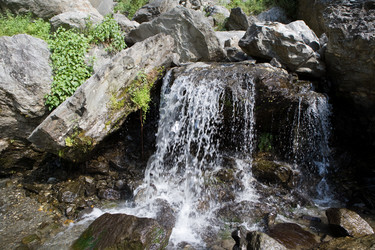 Similar image 100621