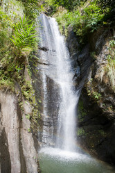 Similar image 100622