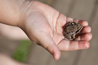 Similar image 100626