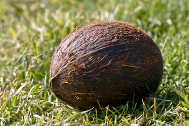 Similar image 100644